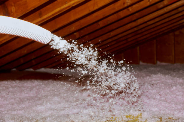Best Energy Efficiency Solutions in Pleasanton, TX