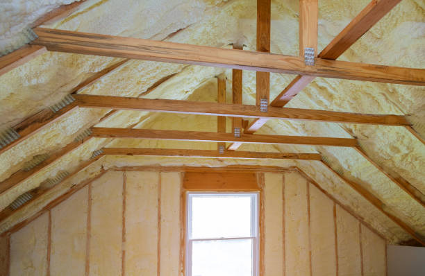 Best Types of Insulation in Pleasanton, TX